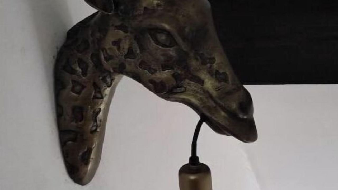 Photo of Others in Sainte-Opportune-la-Mare