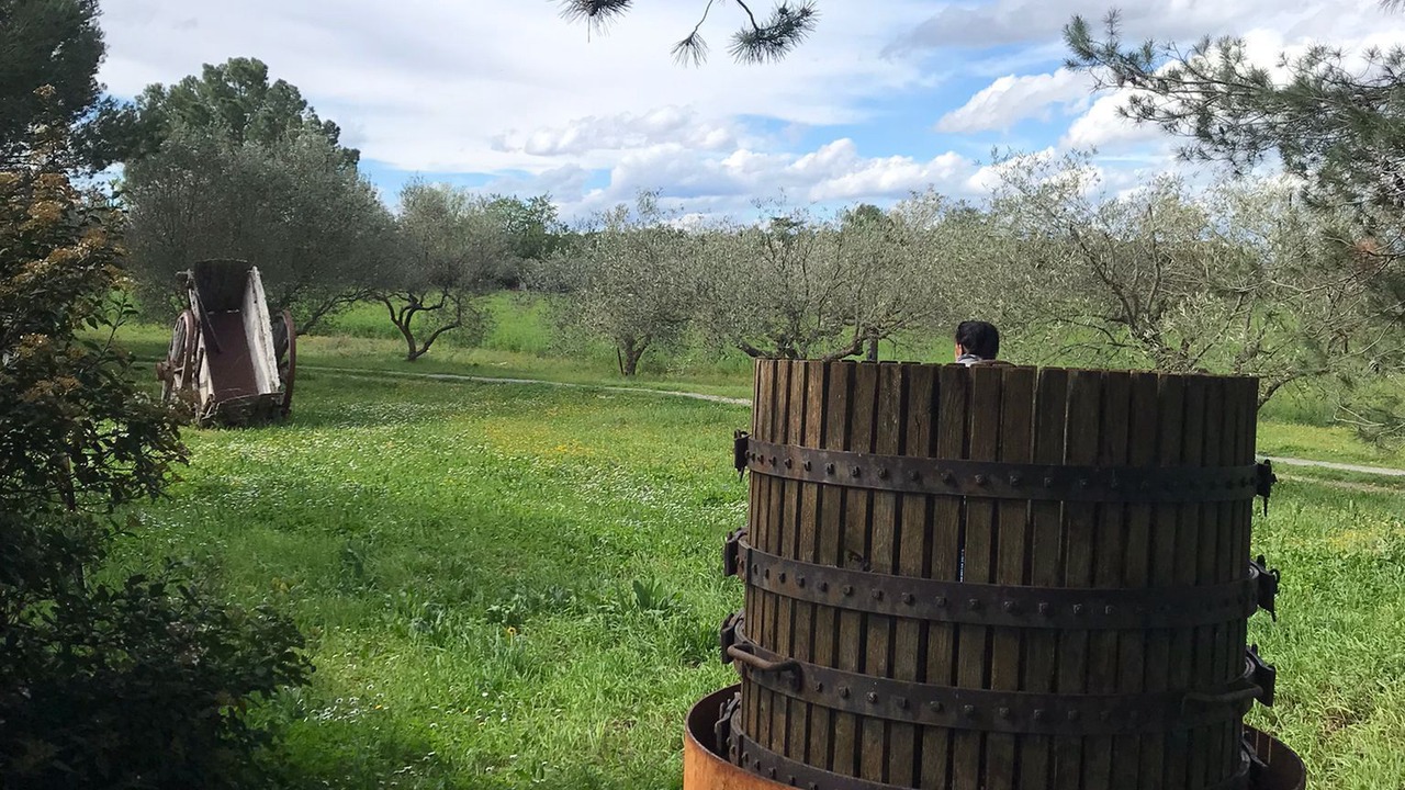 Photo of Outdoor in Cardet