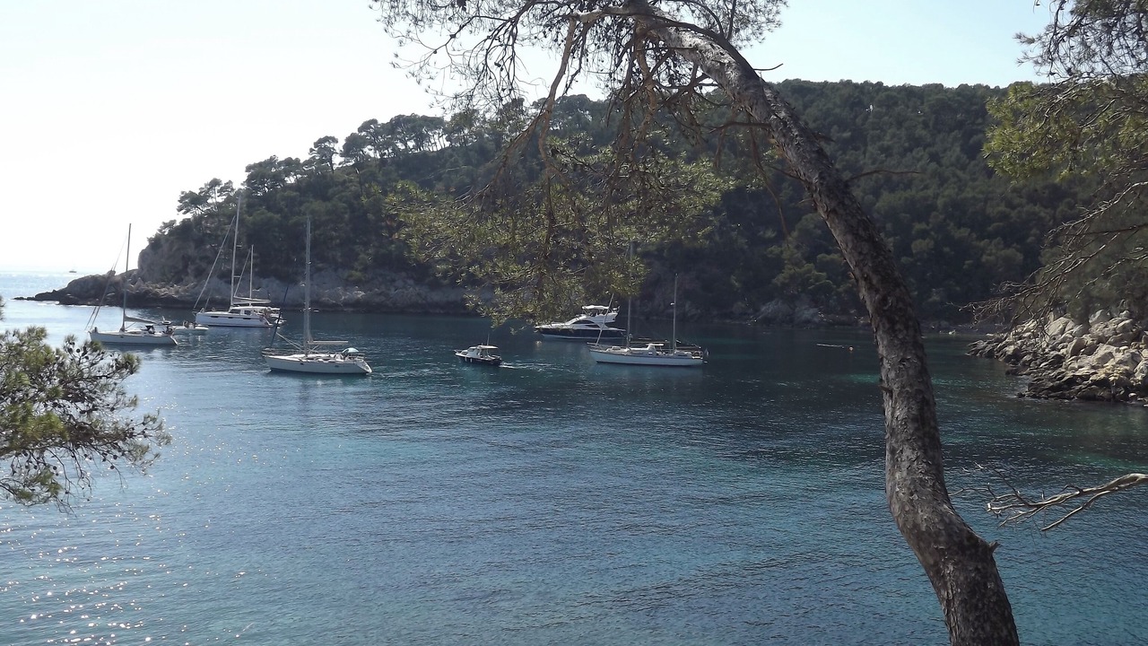 Photo of Others in La Ciotat