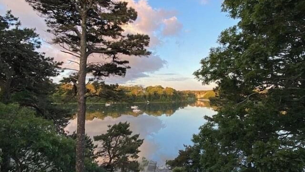 Photo of Outdoor in South Chatham