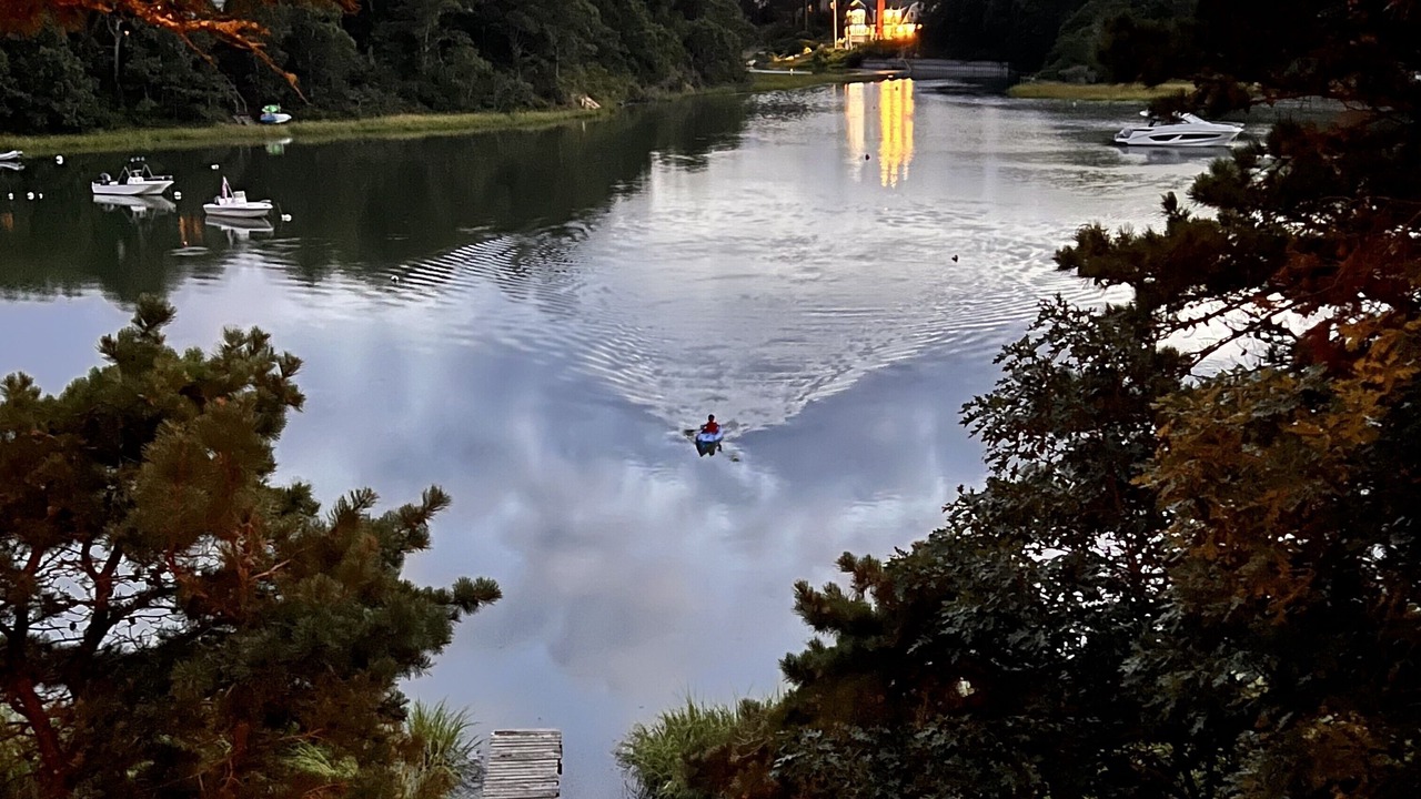 Photo of Others in South Chatham