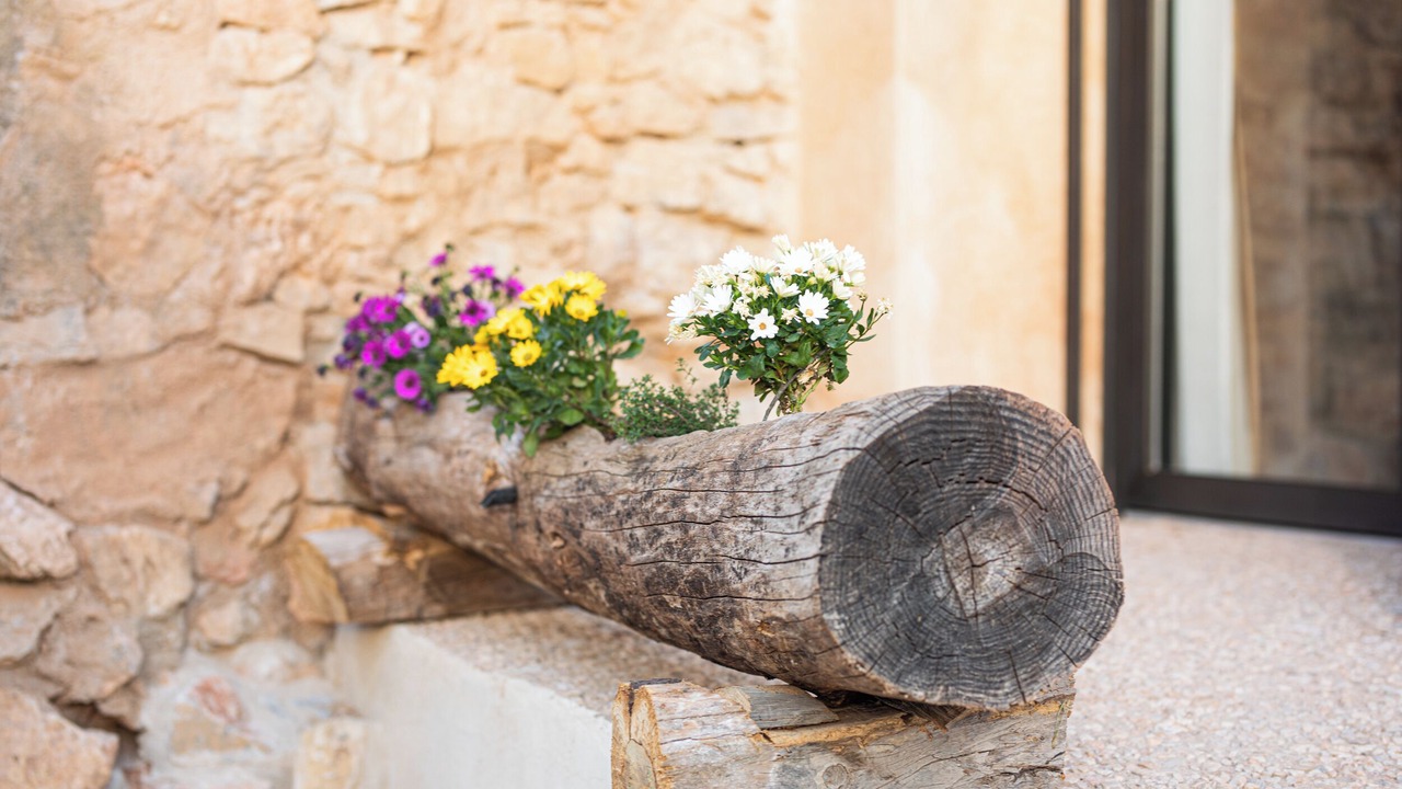 Photo of Outdoor in Tivissa