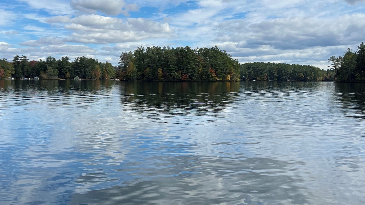 Photo of Others in Woodgate