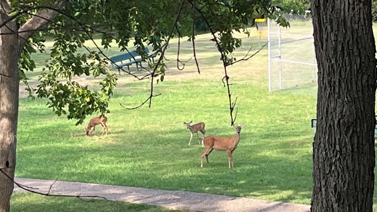 Photo of Outdoor in Austin