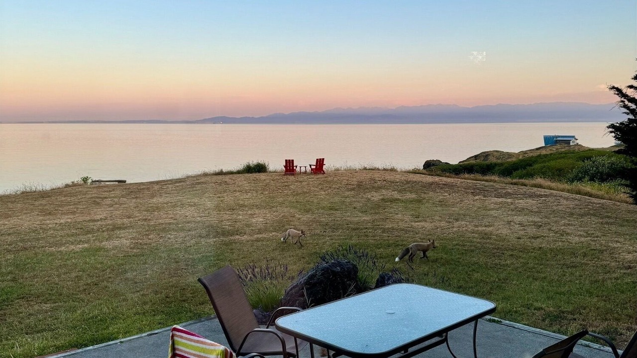 Photo of Others in Friday Harbor