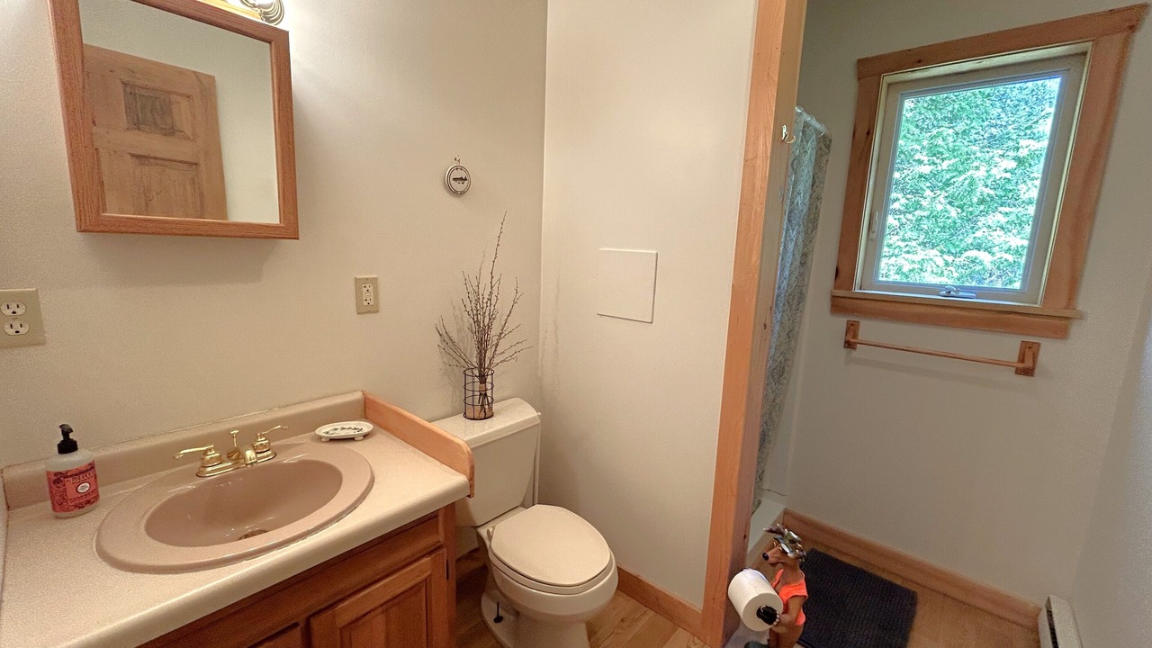 Photo of Bathroom in Moran