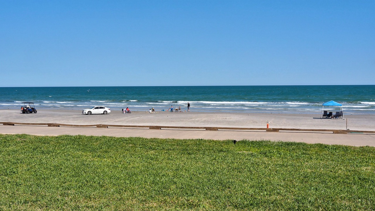 Photo of Others in Corpus Christi
