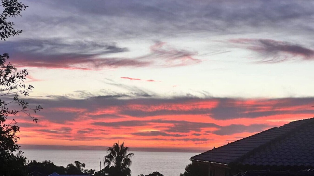 Photo of Others in Marino