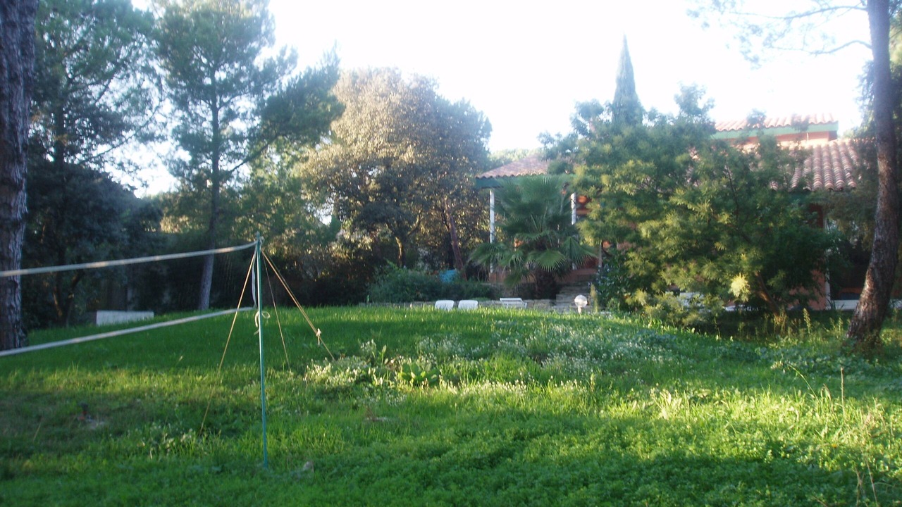 Photo of Outdoor in Langlade