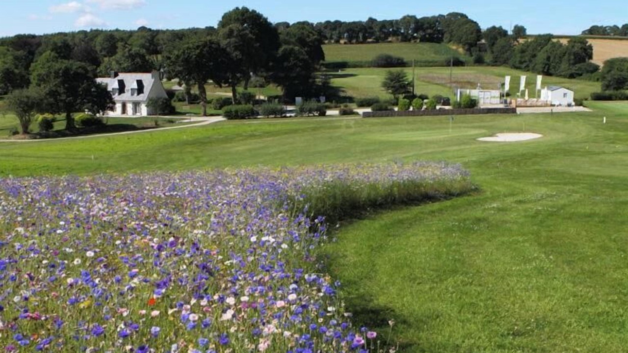 Photo of Others in Carhaix-Plouguer