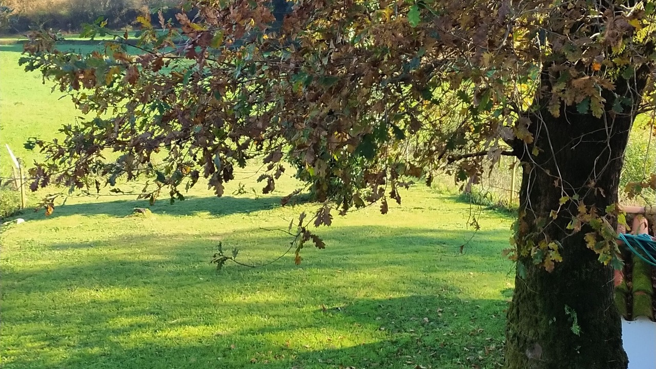 Photo of Outdoor in Villanueva
