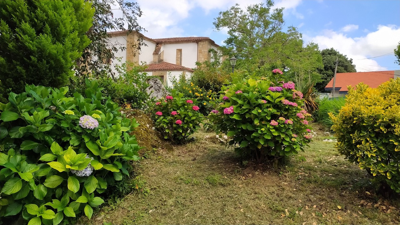 Photo of Outdoor in Villanueva