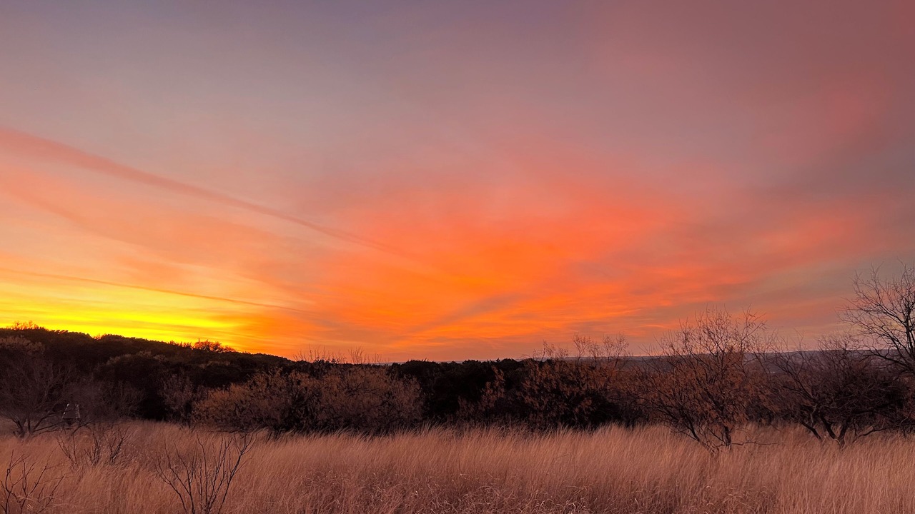 Photo of Others in San Saba