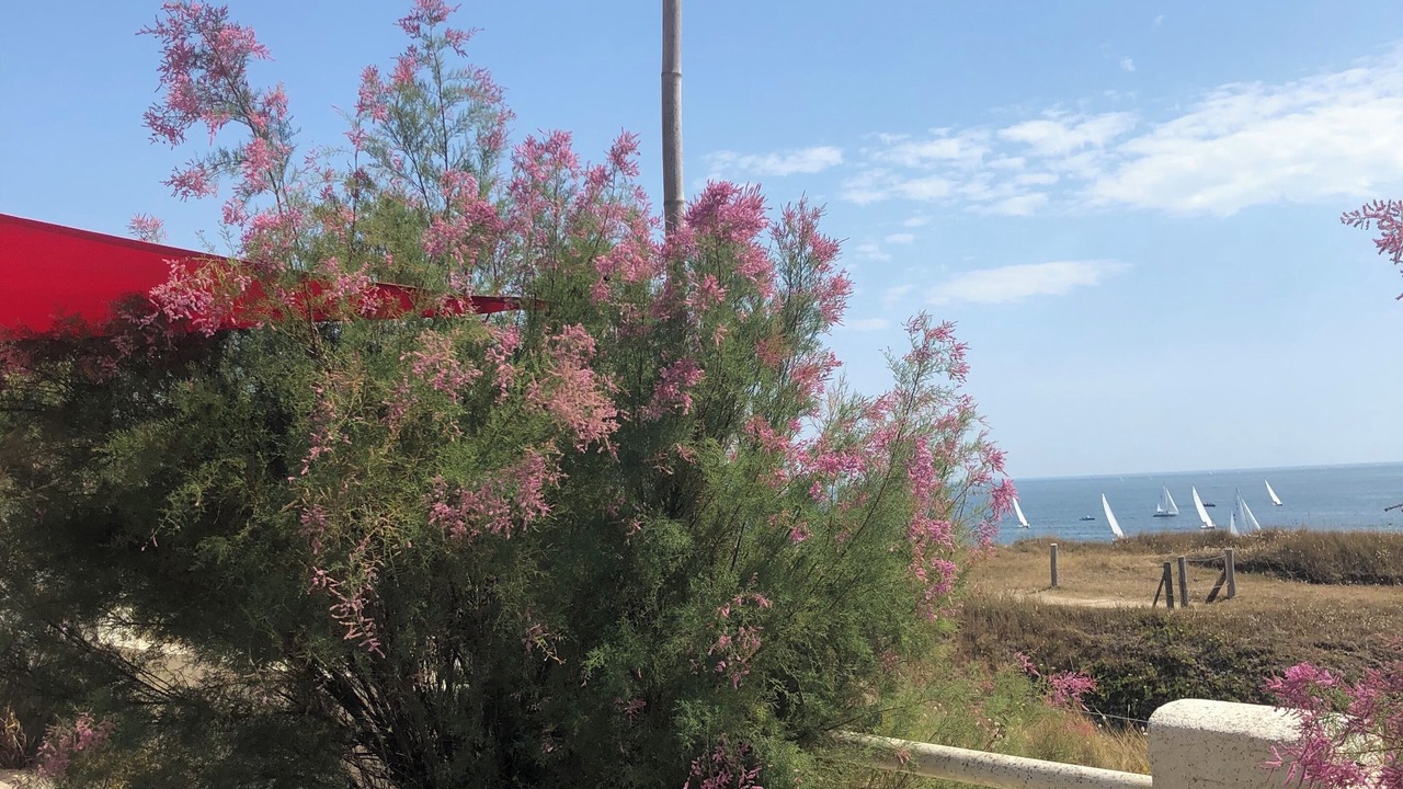 Photo of Patio Balcony in Le Pouliguen