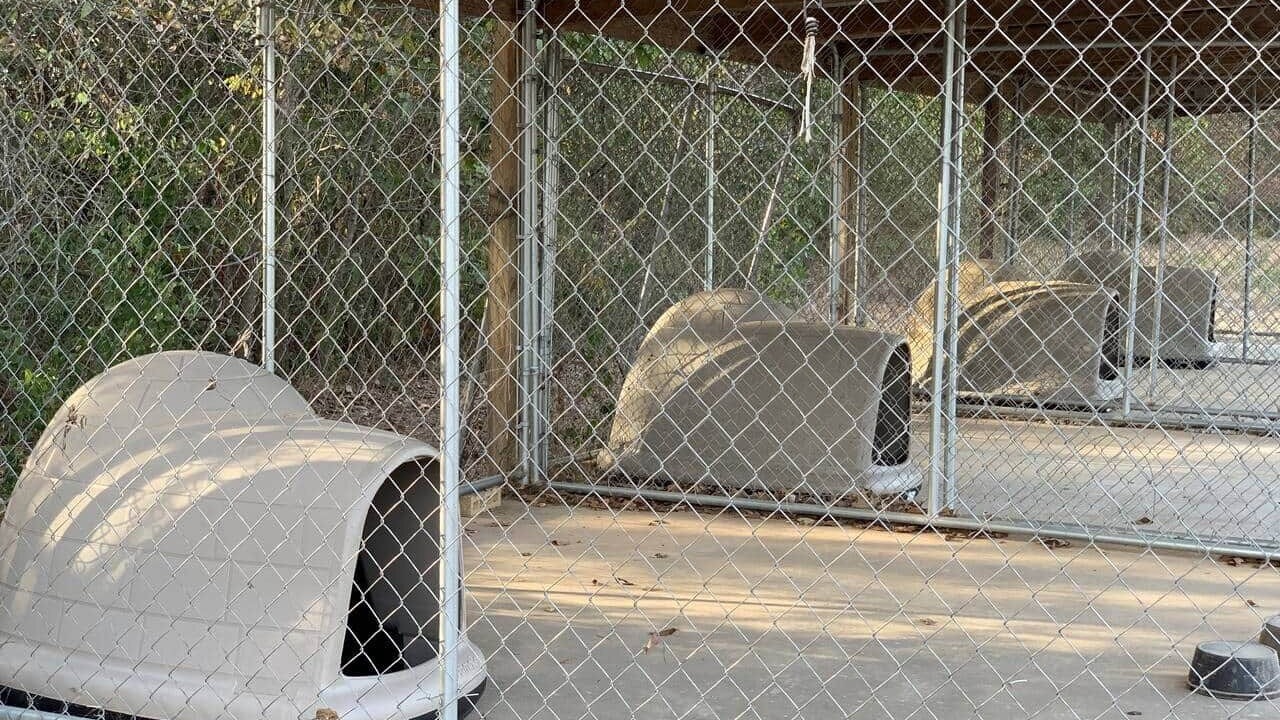 Photo of Outdoor in Ethel