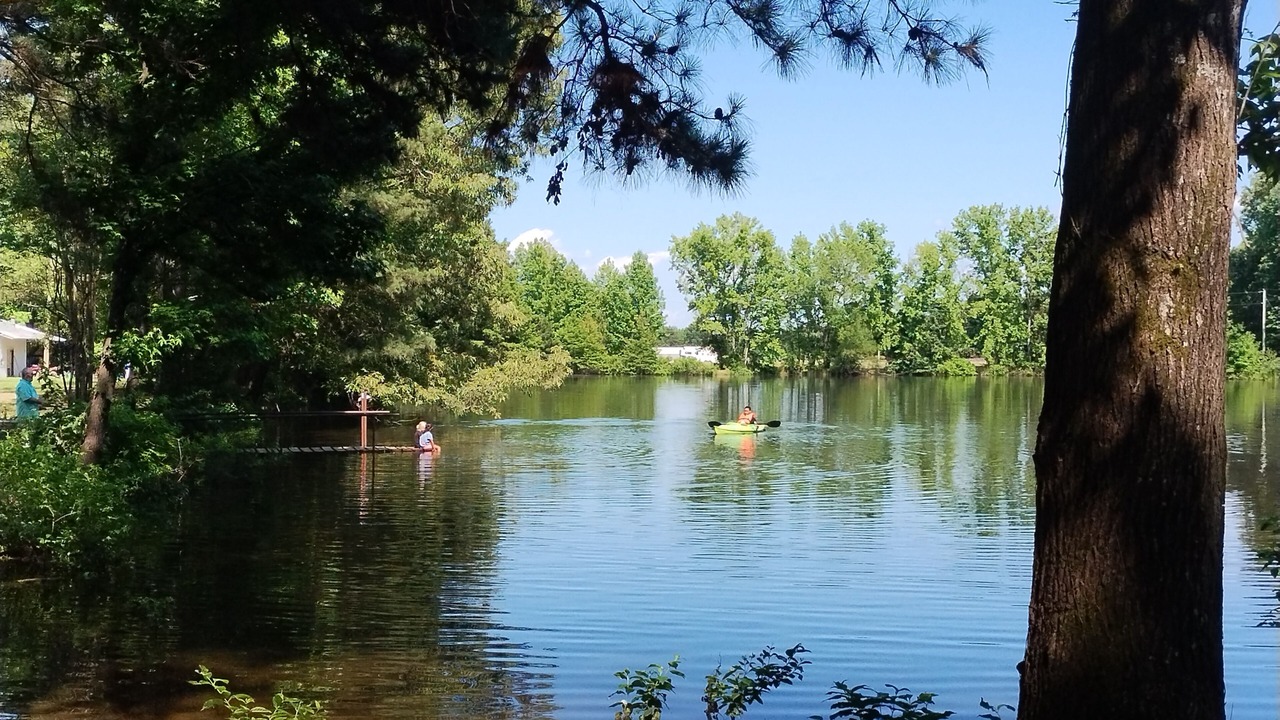 Photo of Bedroom in Lonoke