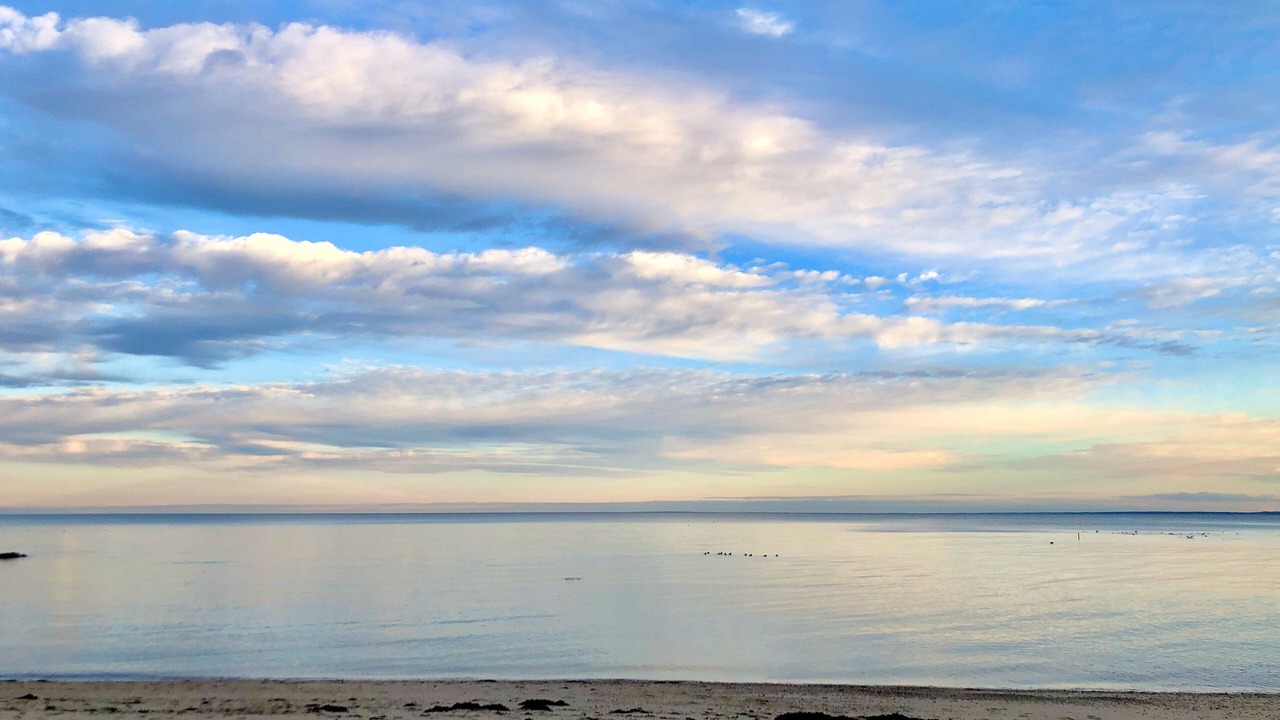 Photo of Others in Plymouth