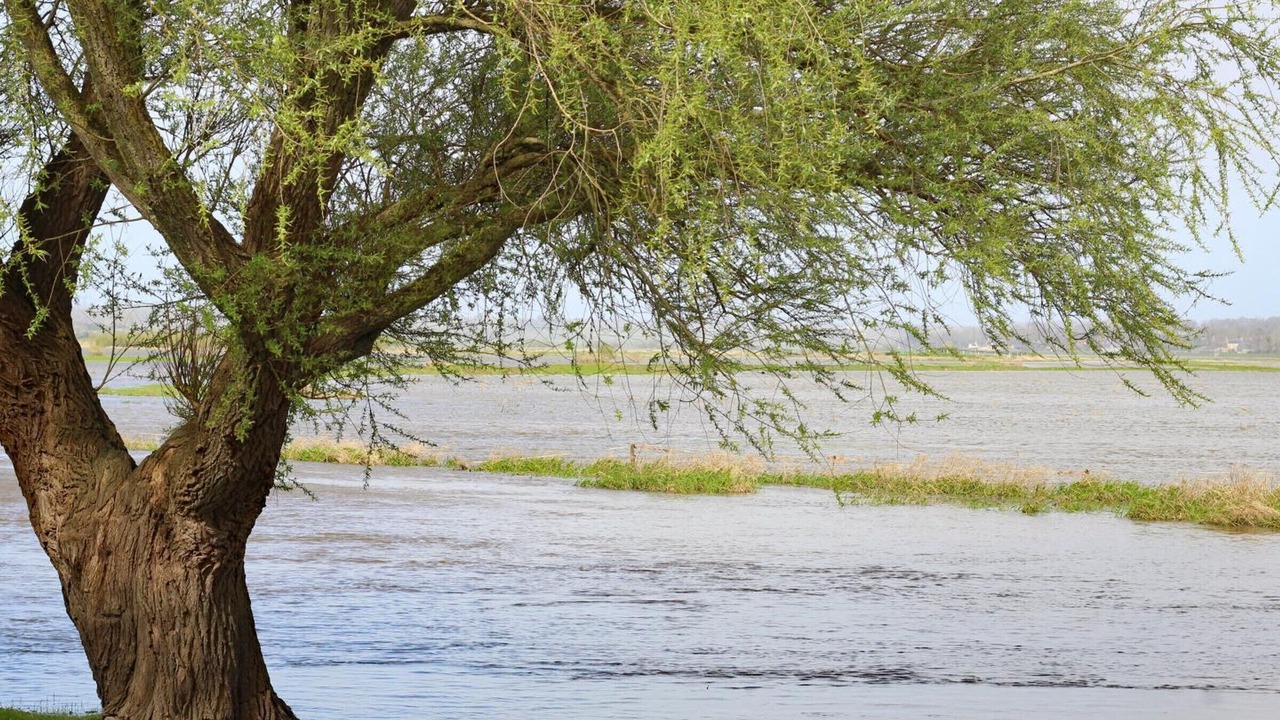 Photo of Outdoor in Les Moitiers-en-Bauptois