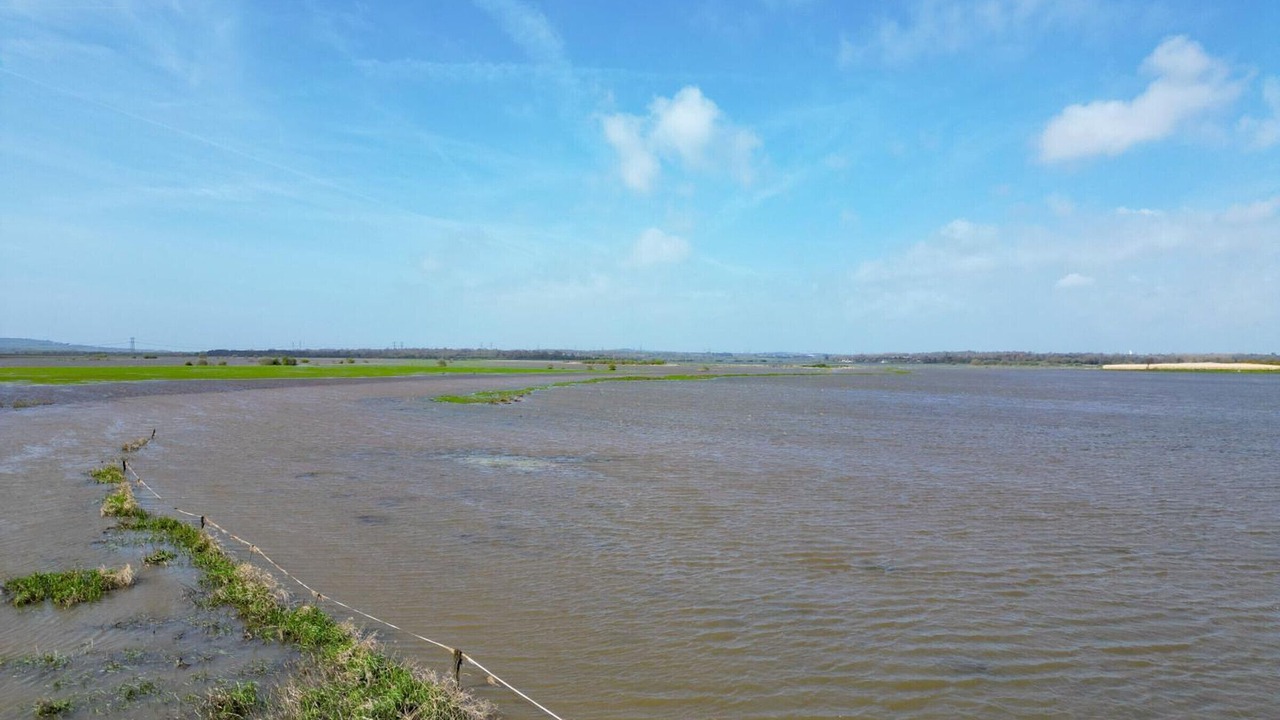 Photo of Others in Les Moitiers-en-Bauptois