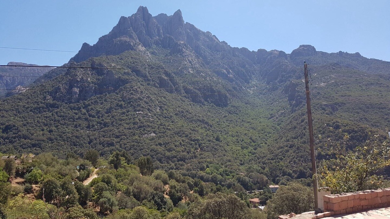 Photo of Others in Porto