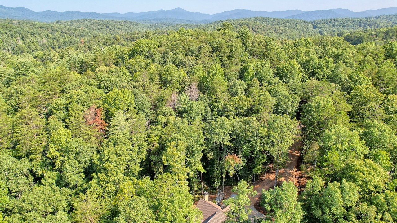 Photo of Others in Dahlonega