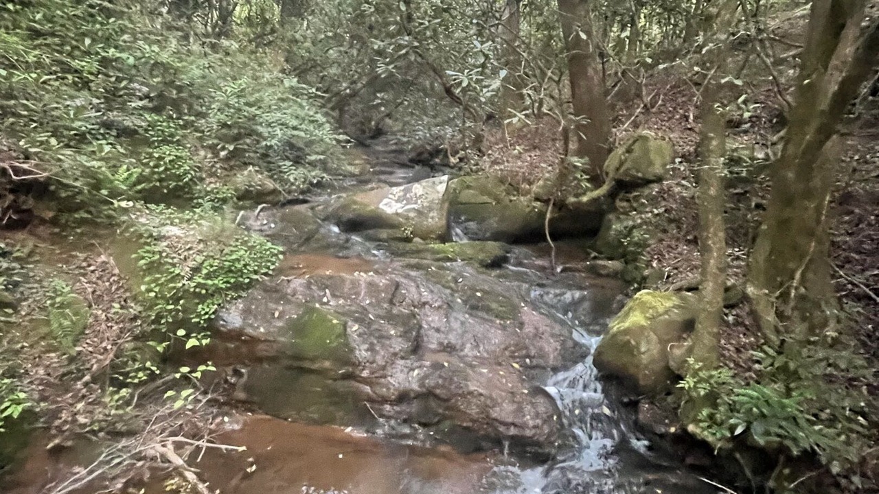 Photo of Others in Dahlonega