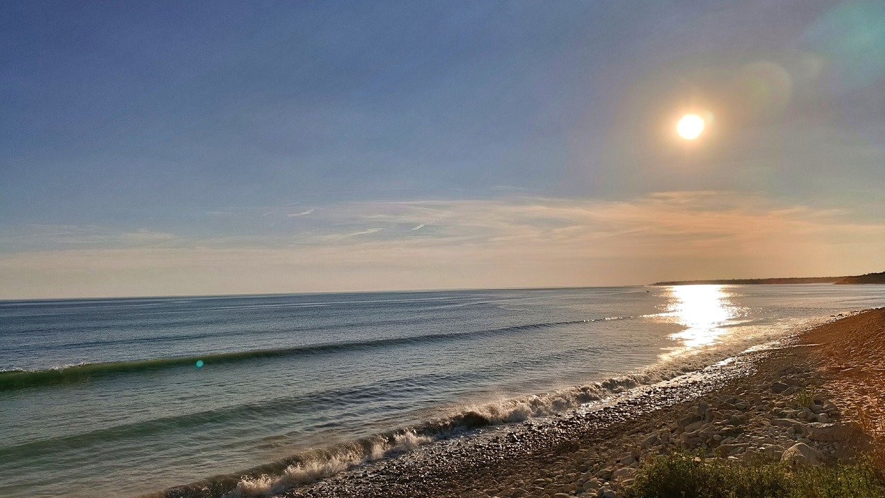 Photo of Others in Longeville-sur-Mer