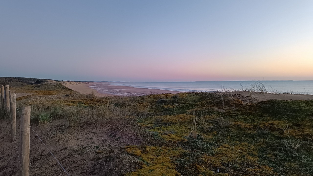 Photo of Others in Longeville-sur-Mer