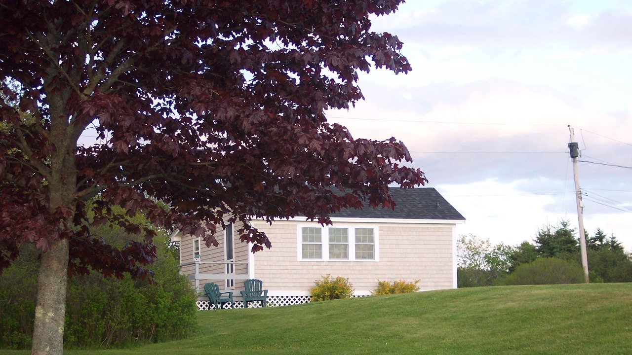 Photo of Outdoor in Tenants Harbor