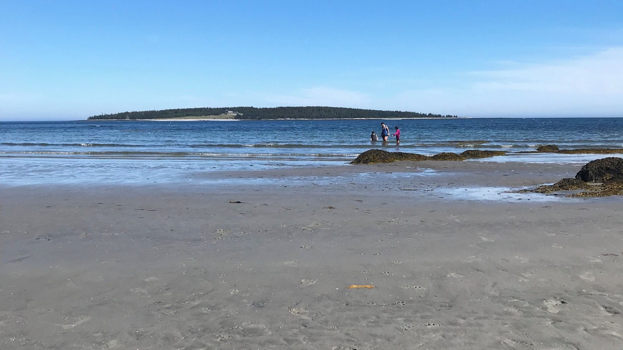 Photo of Others in Tenants Harbor