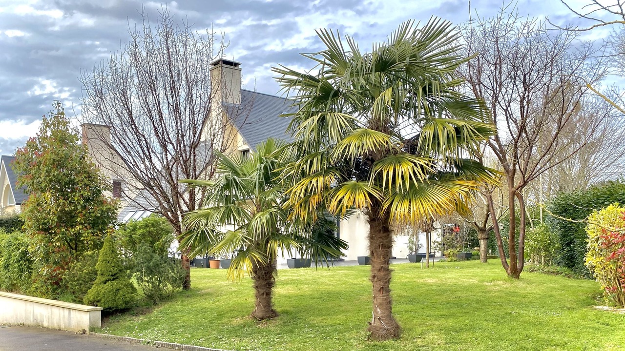 Photo of Outdoor in Benouville