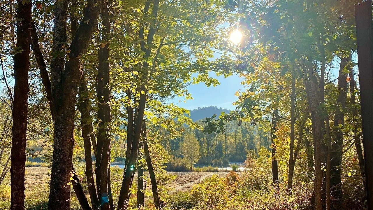 Photo of Others in Grants Pass