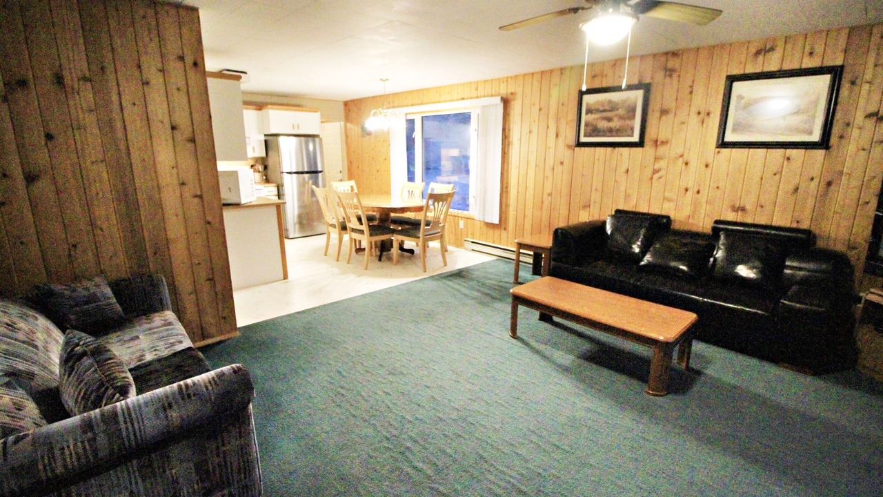 Photo of Livingroom in Falcon Lake