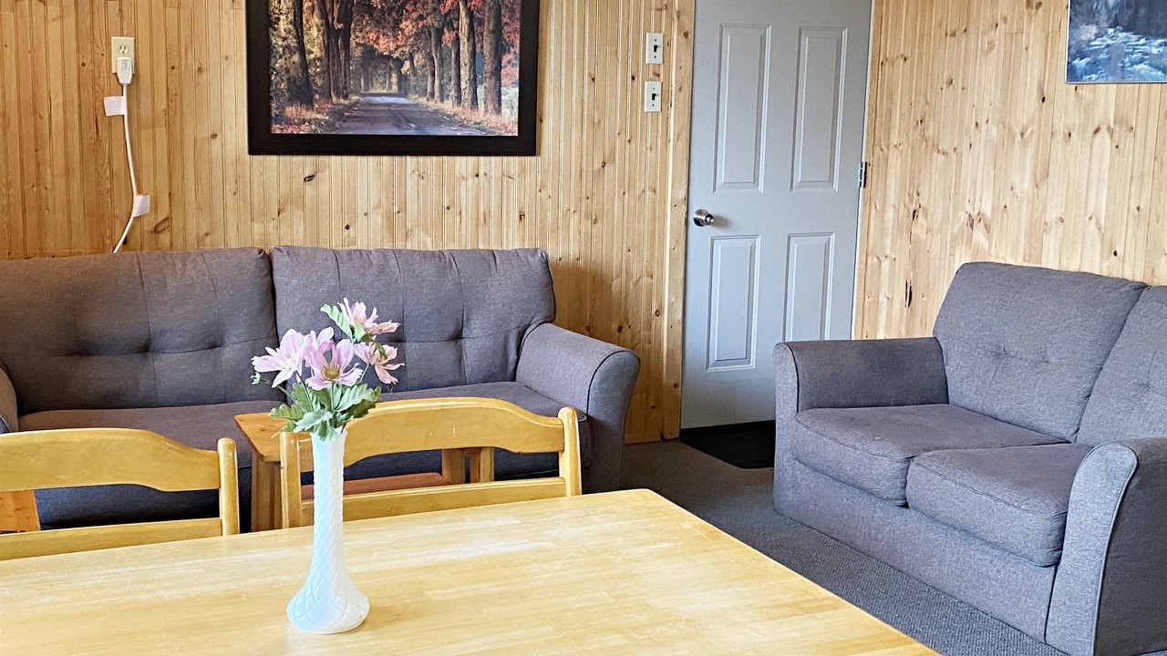 Photo of Livingroom in Falcon Lake