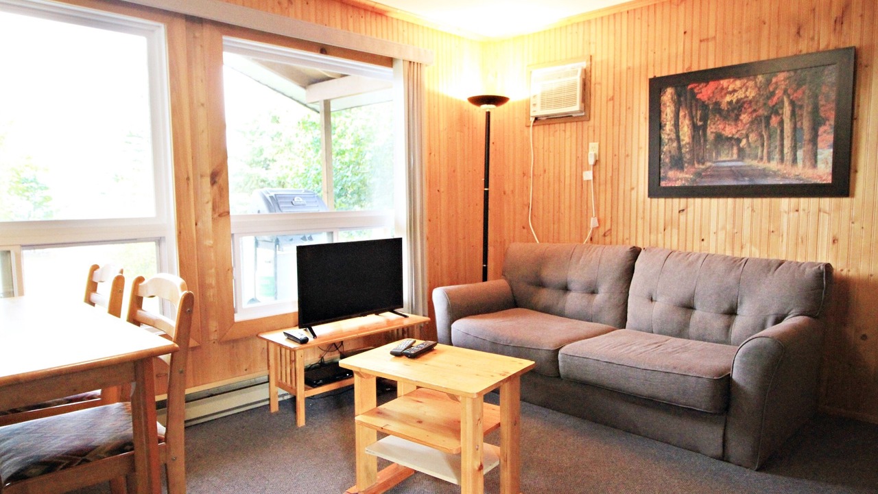 Photo of Livingroom in Falcon Lake