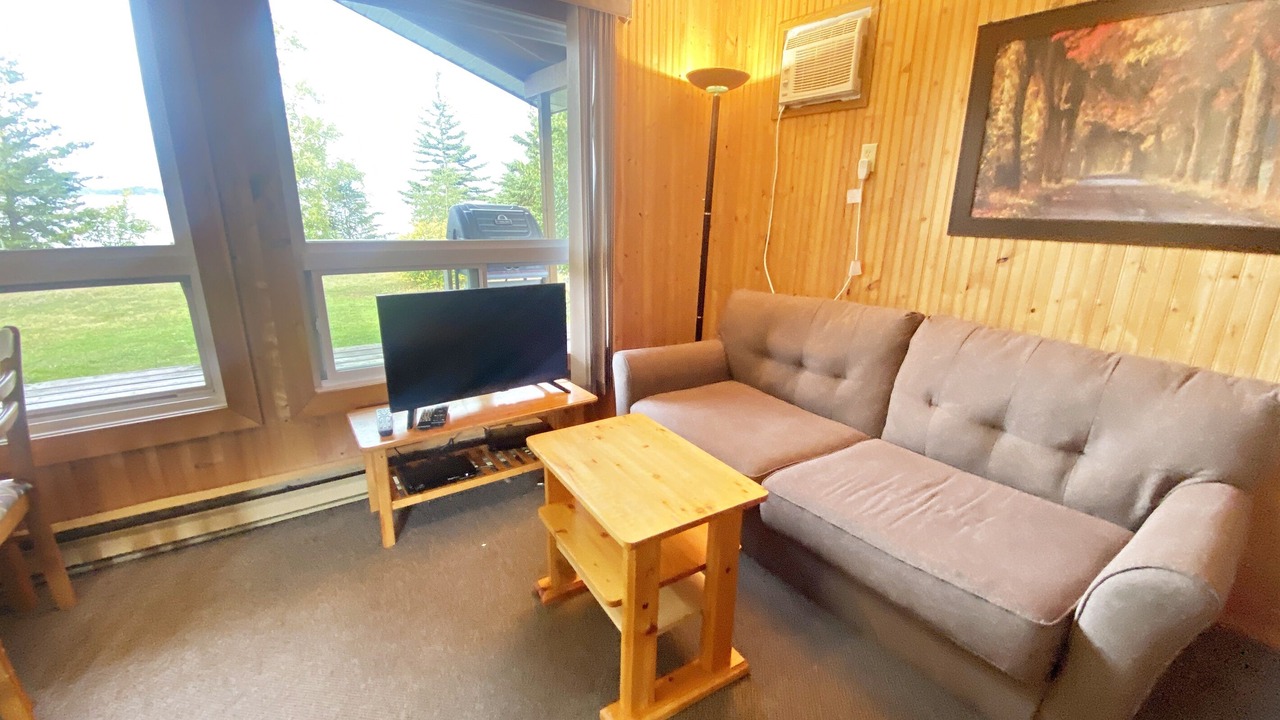 Photo of Livingroom in Falcon Lake