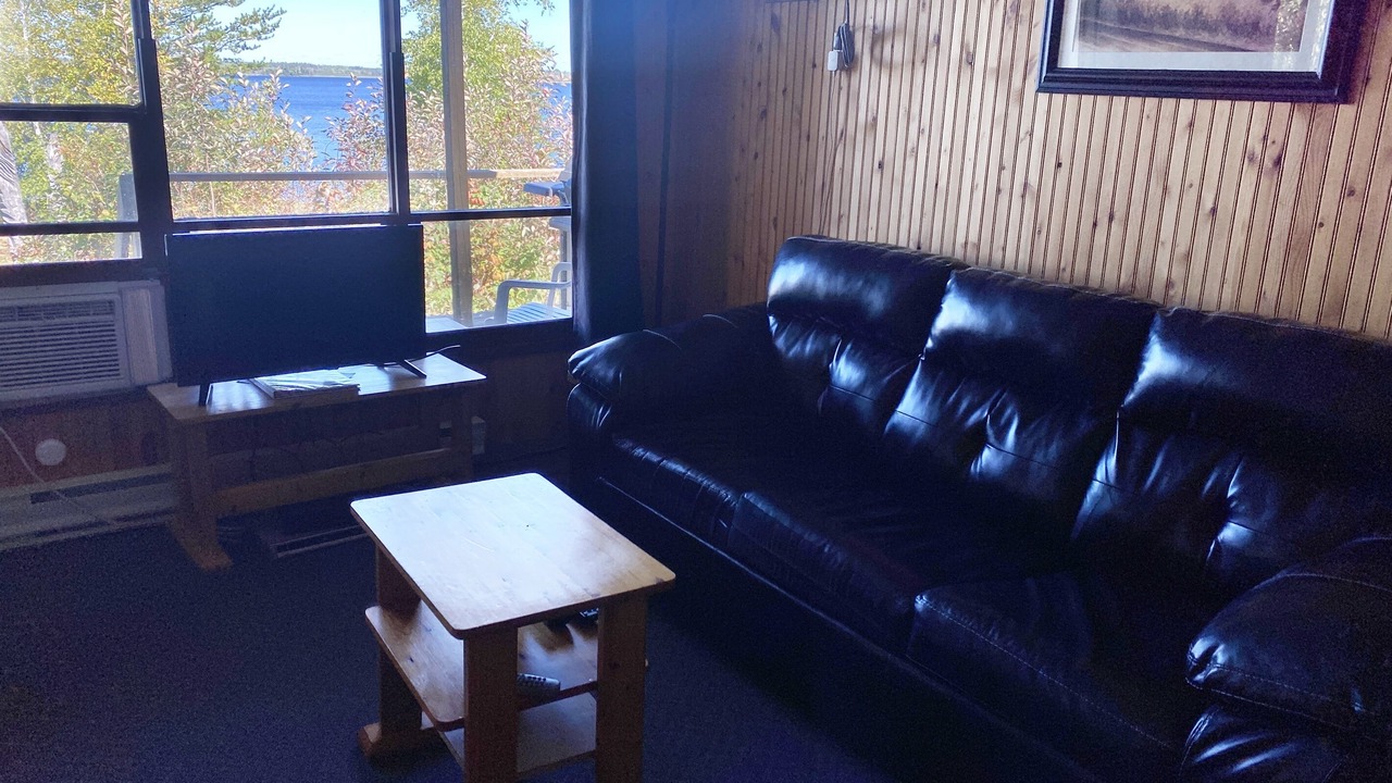 Photo of Livingroom in Falcon Lake