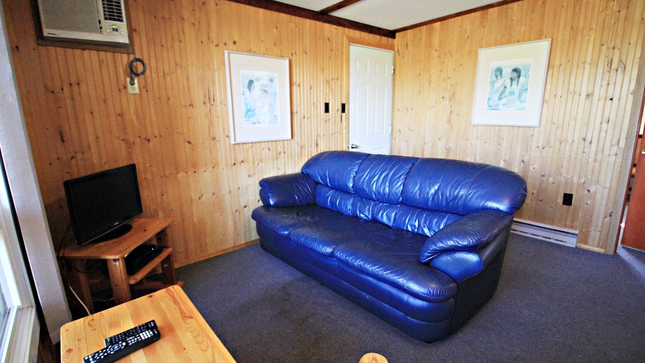 Photo of Livingroom in Falcon Lake