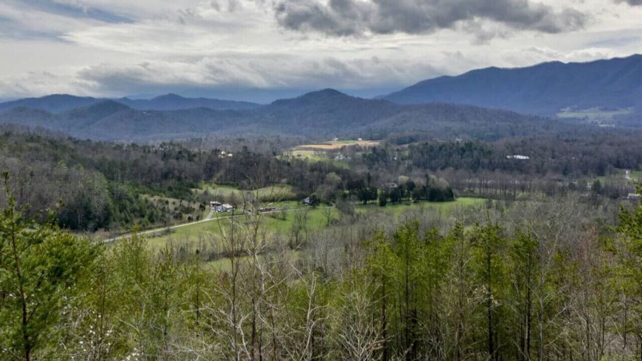Photo of Others in Townsend