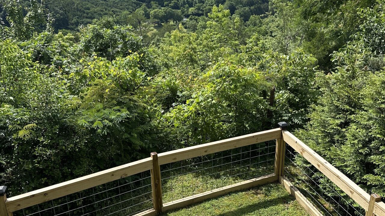 Photo of Outdoor in Townsend