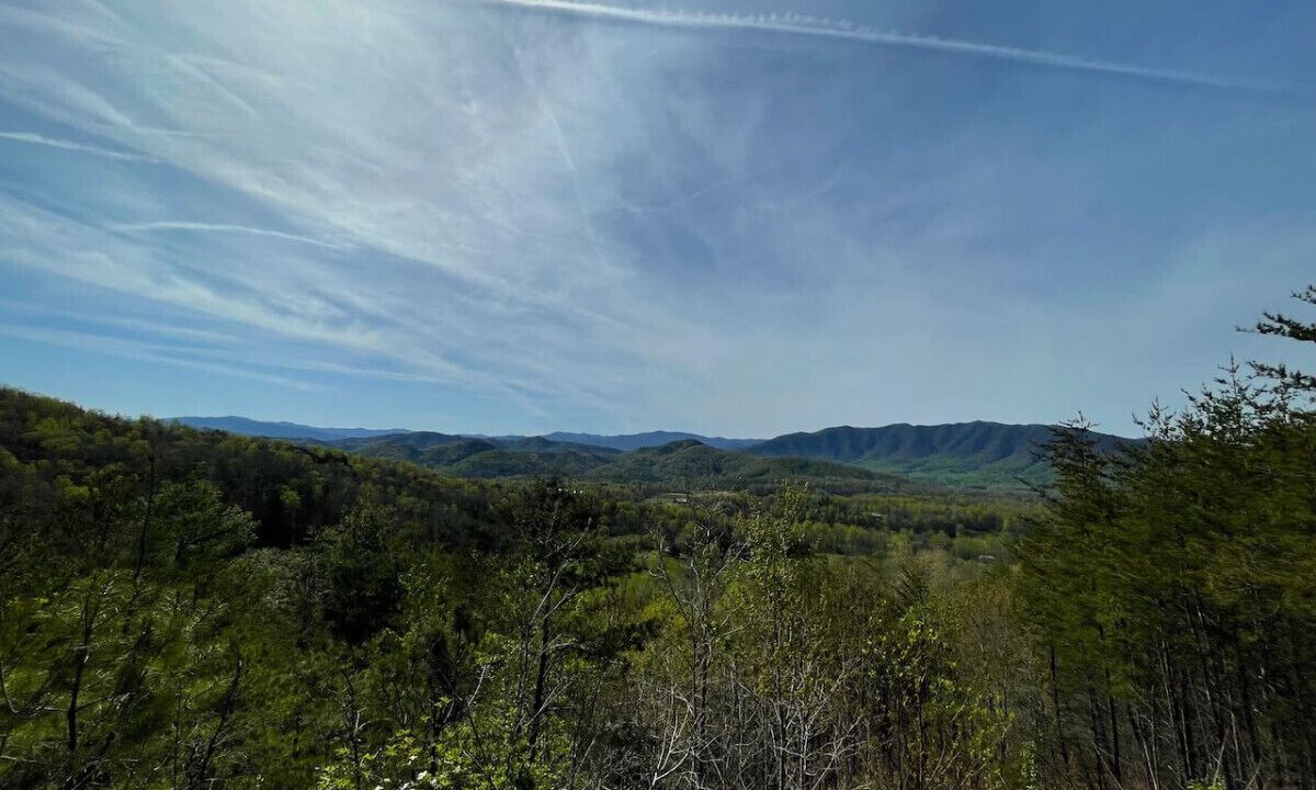 Photo of Others in Townsend