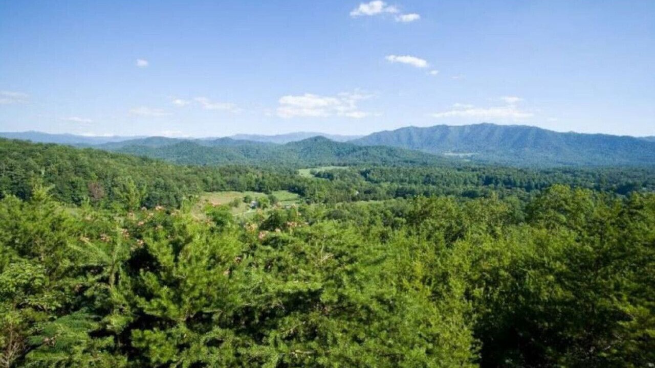 Photo of Others in Townsend