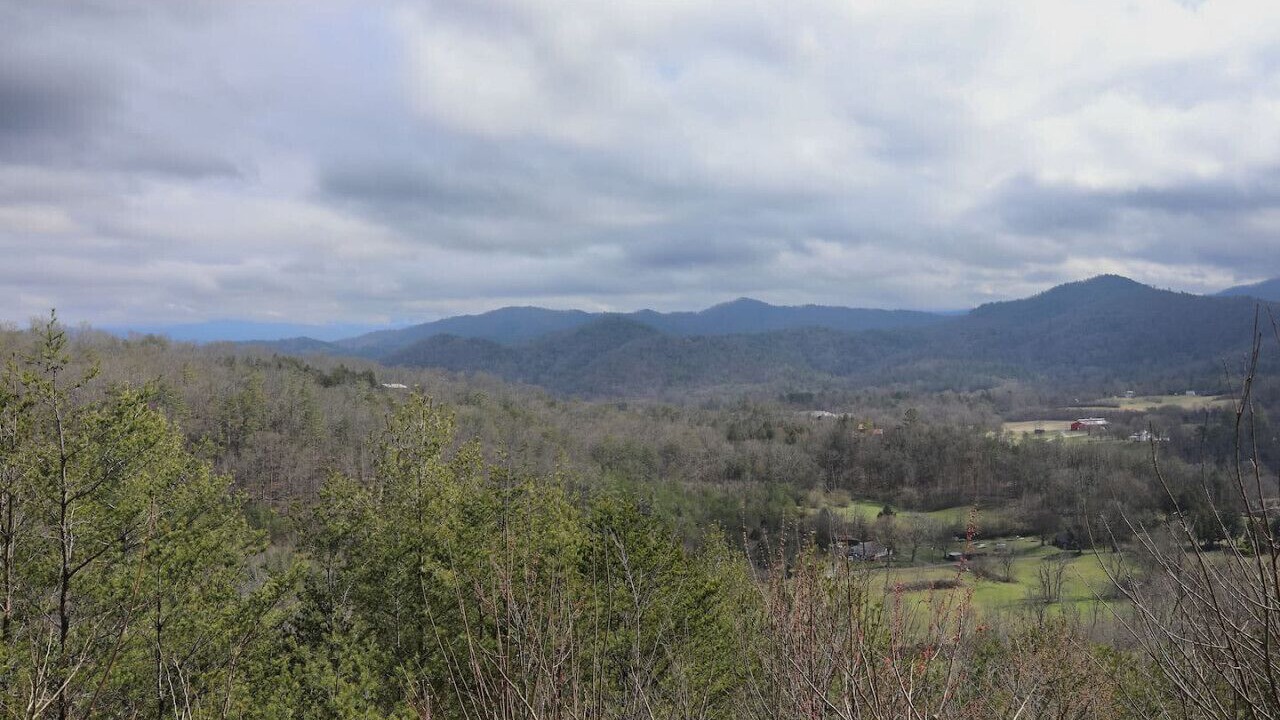Photo of Others in Townsend