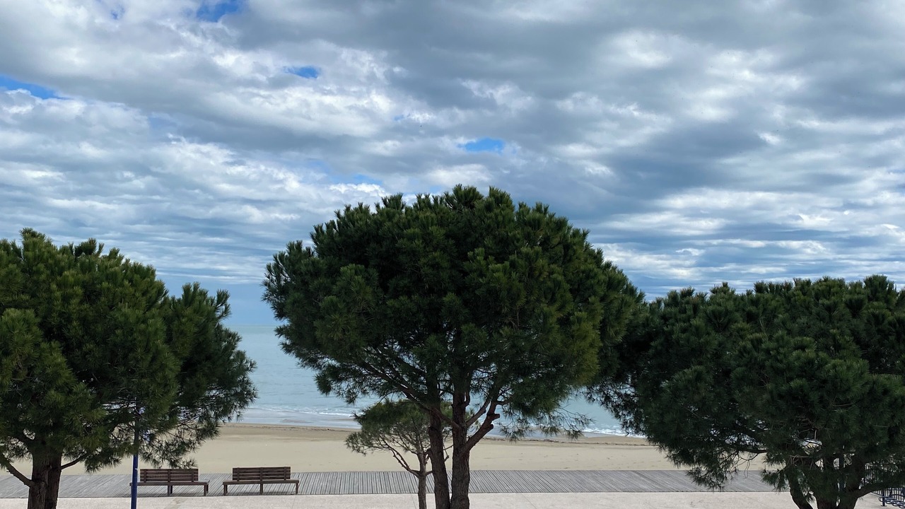 Photo of Others in La Franqui-Plage