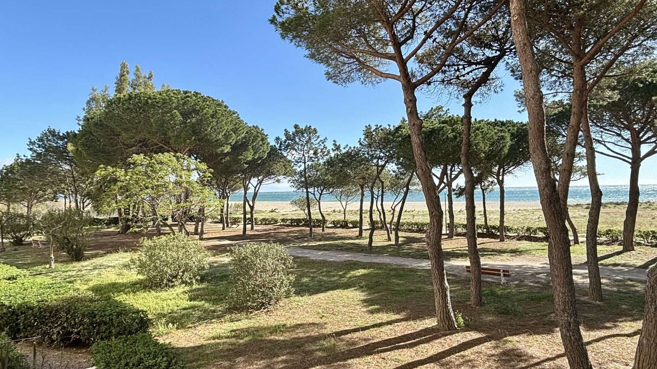 Photo of Outdoor in Argeles Plage