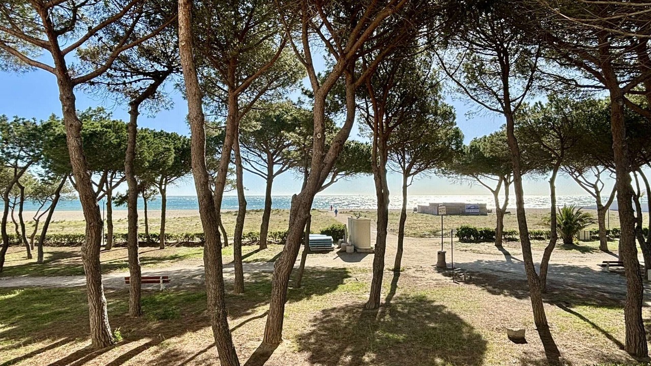 Photo of Outdoor in Argeles Plage