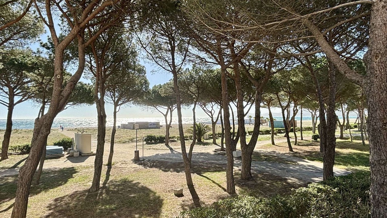 Photo of Outdoor in Argeles Plage