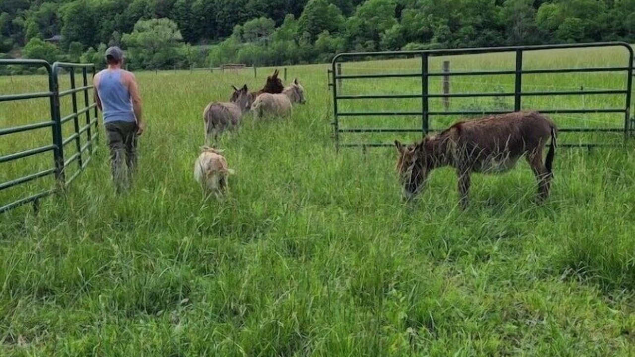Photo of Others in Corning