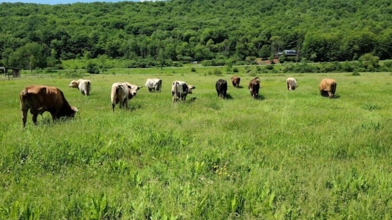 Photo of Others in Corning