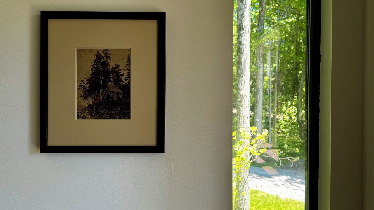 Photo of Others in Dorset